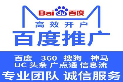 专业SEM服务托管方案案例分析